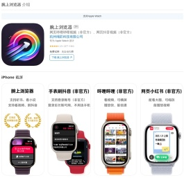 腕上浏览器介绍