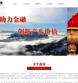 沈阳市鼎润互联网服务有限公司