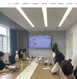 泰希斯（武汉）医药技术有限公司