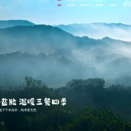 精制工业盐