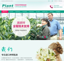 进口种球