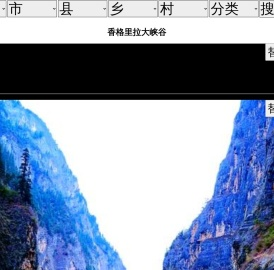 风光网