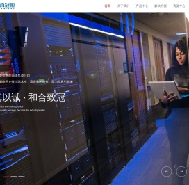 上海直真冠恒信息技术有限公司