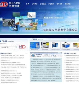 临安丰源电子有限公司