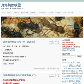 月海蚂蚁联盟