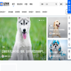 宠物网