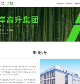 九岸高升集团 