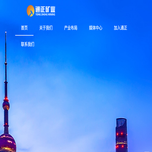 通正矿业有限公司