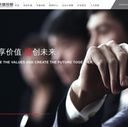 杭州丰盛控股集团有限公司