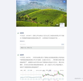 炒股网
