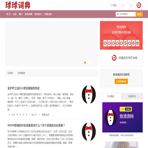 鱼渣渣网