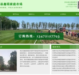河北省石家庄市栾城区草坪种植基地