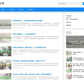吉时八字网