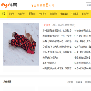 gif动态图