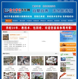 湖南养蛇基地
