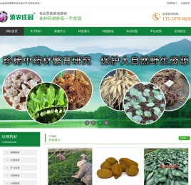 多花不倒苗黄精苗