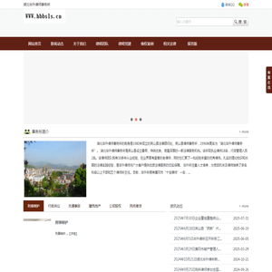 湖北毕升律师事务所