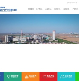 宁夏和宁化学有限公司
