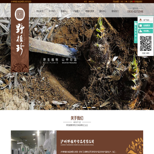 泸州野植珍食品有限公司