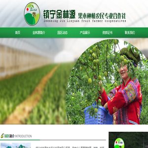 六马李子苗圃