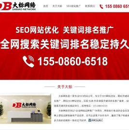 大标网络丨专业SEO优化公司