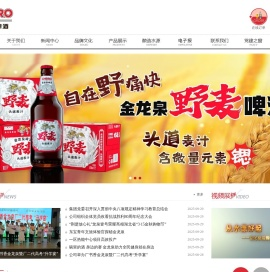 湖北金龙泉集团股份有限公司英博金龙泉啤酒（湖北）有限公司