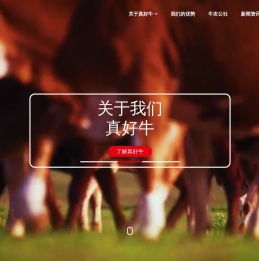 真好牛（深圳）科技有限公司