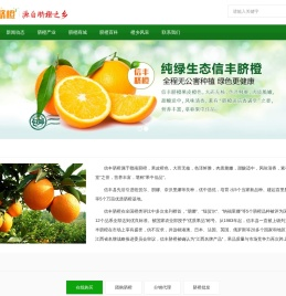信丰脐橙网