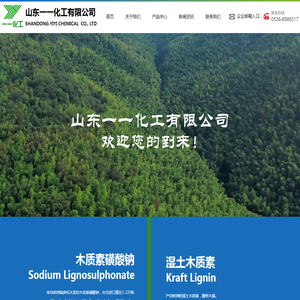 山东一一化工有限公司