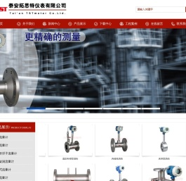泰安拓思特仪表有限公司