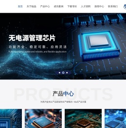 无锡核晶科技电子有限公司