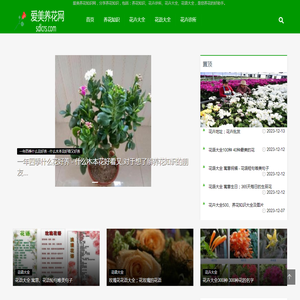 爱美养花知识网首页