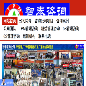 TPM咨询公司