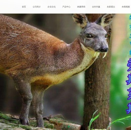 湖北邓德农业发展有限公司