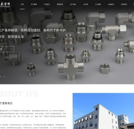 余姚市通泰液压管件厂,公制过渡接头,英制过渡接头,美制过渡接头,SAE矿用快速接头,单向阀