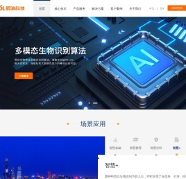全球多模态视觉能力提供商