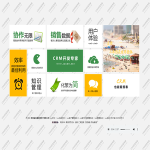 CRM开发专家