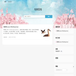 鸟类在线