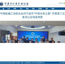 中国水表之都网