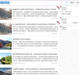 钠斯直播系统