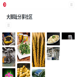 大脚趾分享社区
