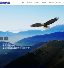 泰州市金鹰精密铸造有限公司