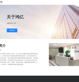 鸿亿系统