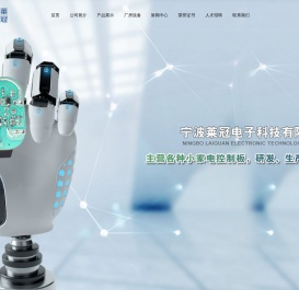 宁波莱冠电子科技有限公司