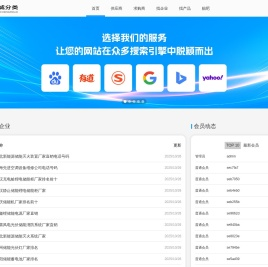 特爱琪(储能厂家排名前十)