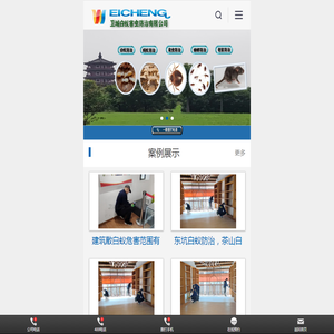 东莞塘厦白蚁防治,黄江灭白蚂蚁公司,清溪白蚁防治中心,凤岗白蚁公司