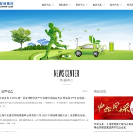 上海中如智慧能源集团有限公司