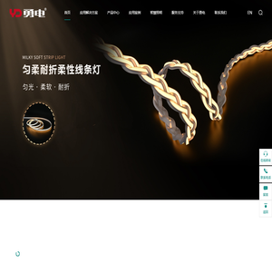 杭州勇电照明有限公司