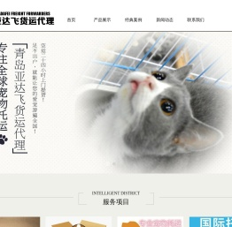 青岛亚达飞货运代理有限公司
