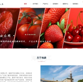 四川海磷化工有限公司Sichuan